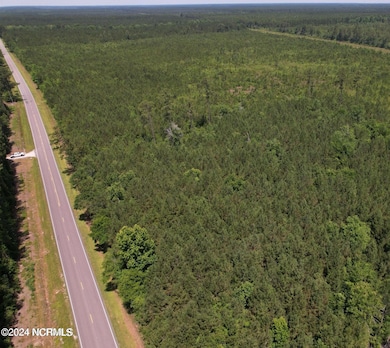 00 Old Lake Rd, Riegelwood, NC 28456 - photo 7