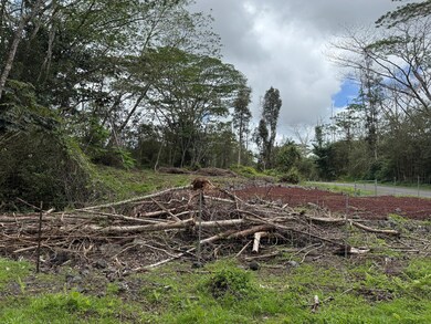 14-657 Kapuna Rd, Nanawale Estates, HI 96778 - photo 7