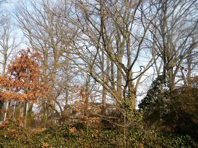 54 Latourette MORE Trees
