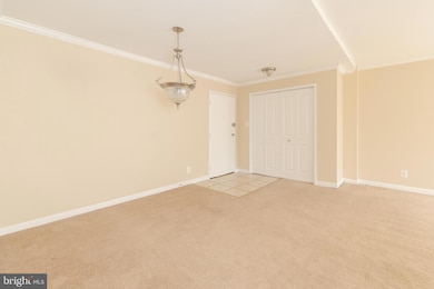 10570 Main St unit 424, Fairfax, VA 22030 - photo 6