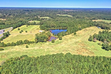 90 Ac White Rock Rd, Lincolnton, GA 30817 - photo 4