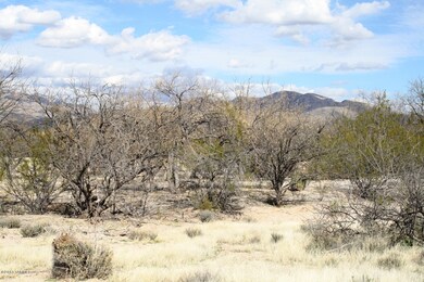 IMG_8528