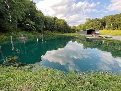 2558 Old Highway 60, Purlear, NC 28665 - photo 2