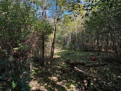 23976 W Beach Grove Rd, Antioch, IL 60002 - photo 4