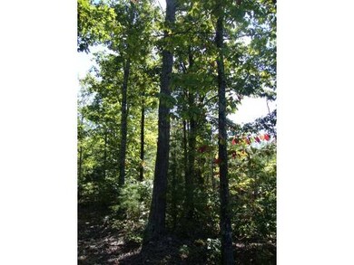 0 Slink Shoals Rd unit 3257290, Linden, TN 37096 - photo 6