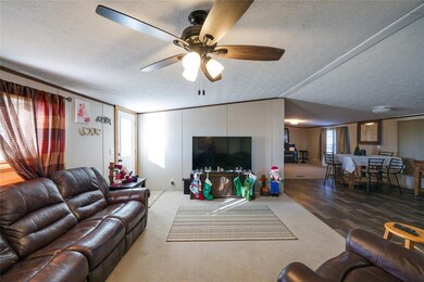 235 E Poe Prairie Rd, Millsap, TX 76066 - photo 6