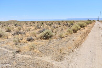 0 105th St West & Ave B2 unit 24000026, Antelope Acres, CA 93536 - photo 4