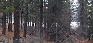39731 Lakeview Dr, Big Bear Lake, CA 92315 - photo 2