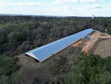 5100 Mount Ida Rd, Luverne, AL 36049 - photo 3