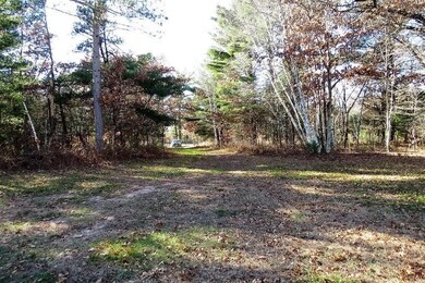 25784 Clark Rd, Webster, WI 54893 - photo 5