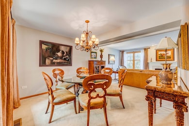 14517 Albany Ave, Lemont, IL 60439 - photo 5