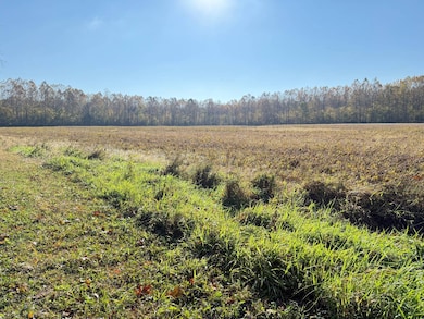 664 Illinois 145, Simpson, IL 62985 - photo 2