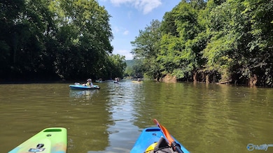 114 Canonbury Dr, New Market, AL 35761 - photo 2