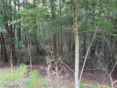 281 Vistaview Pkwy, Jasper, GA 30143 - photo 4