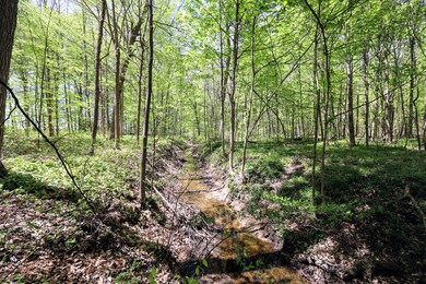 VL Benny Ct (Private) unit Parcel 3, Grand Junction, MI 49056 - photo 7