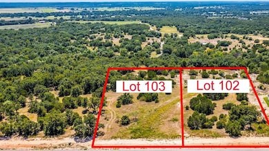 1216 Eagles Bluff Dr, Weatherford, TX 76087 - photo 2