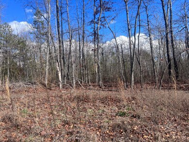 0 Kyuga Dr unit 1387412, New Hope, TN 37380 - photo 5