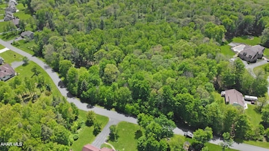 DJI_0307