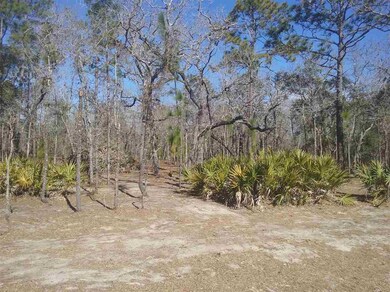 0 Red Oak Rd unit 305071, Perry, FL 32348 - photo 2