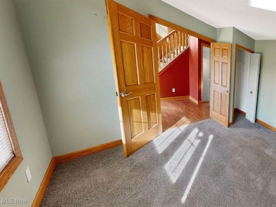 3823 Martha Cir, Litchfield, OH 44253 - photo 7