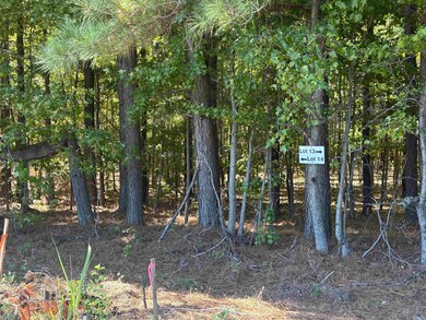 0 Bethuel Rd unit Lot 14, Unincorporated, TN 38053 - photo 3