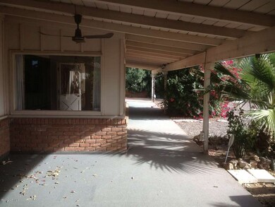 Back Patio