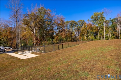 10525 Stony Bluff Dr unit 203, Ashland, VA 23005 - photo 5