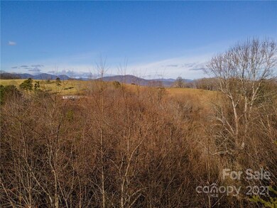 99999 Tremorra Trail unit 18, Leicester, NC 28748 - photo 7