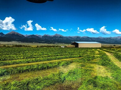 1429 County Road 130, Westcliffe, CO 81252 - photo 4