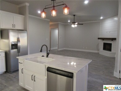 7410 Golden Heart Dr, Temple, TX 76502 - photo 7