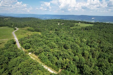 3-web-or-mls-DJI_0021