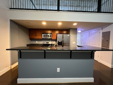 Bar Dividing Kichen and Living Room