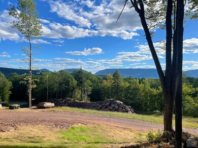 0 Route 25 Rd unit 146034, Tannersville, NY 12442 - photo 3