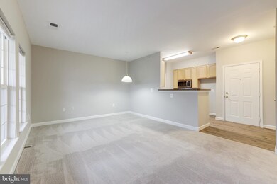 22607 Blue Elder Terrace unit 301, Ashburn, VA 20148 - photo 6