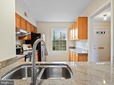 8380 Forrester Blvd unit 547, Springfield, VA 22152 - photo 6