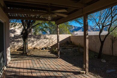 50-Back-Patio