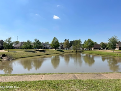 View from Front Yard