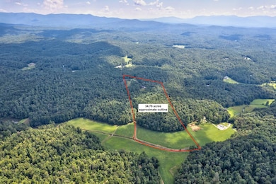 312 Charles Rd, Ellijay, GA 30540 - photo 4