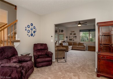 27029 Glenside Ln, Olmsted Falls, OH 44138 - photo 7