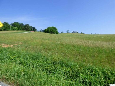 Lot 3 Owl Hole Gap Rd, Rutledge, TN 37861 - photo 3