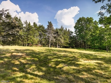 83 Readington Rd, Whitehouse Station, NJ 08889 - photo 3