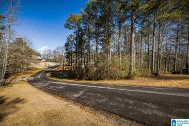 0 Scenic Trail unit 21411084, Oneonta, AL 35121 - photo 4