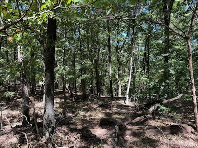 000 Flint Ln, Washburn, MO 65772 - photo 4