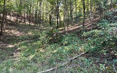 Additional View