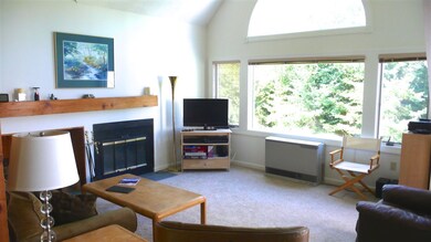 81 Osceola Rd unit 10, Waterville Valley, NH 03215 - photo 2