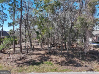 0 Riverview Dr W unit 10523000, St. Marys, GA 31558 - photo 5