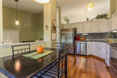 spring-tree-kitchen-3 (1 of 1)