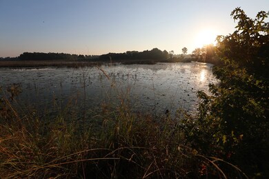 3665 Turman Rd, Edison, GA 39846 - photo 7