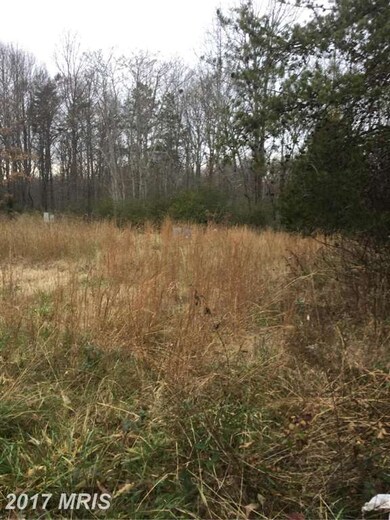 20447 Shady Grove Ln, Orange, VA 22960 - photo 5