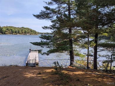 43206 Murray Island, Clayton, NY 13624 - photo 3